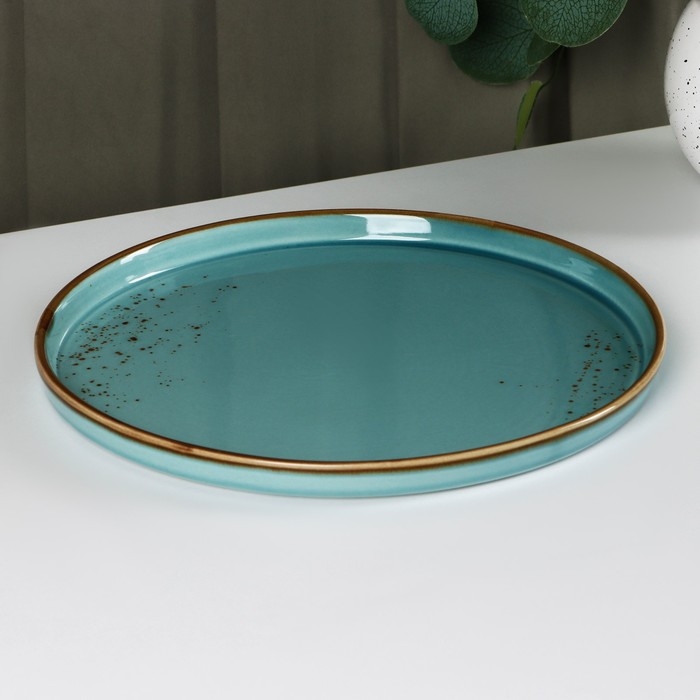 Тарелка фарфоровая с бортиком Magistro «Церера», d=25,5 см, цвет голубой Тарелка фарфоровая с бортиком Magistro «Церера», d=25,5 см, цвет голубой