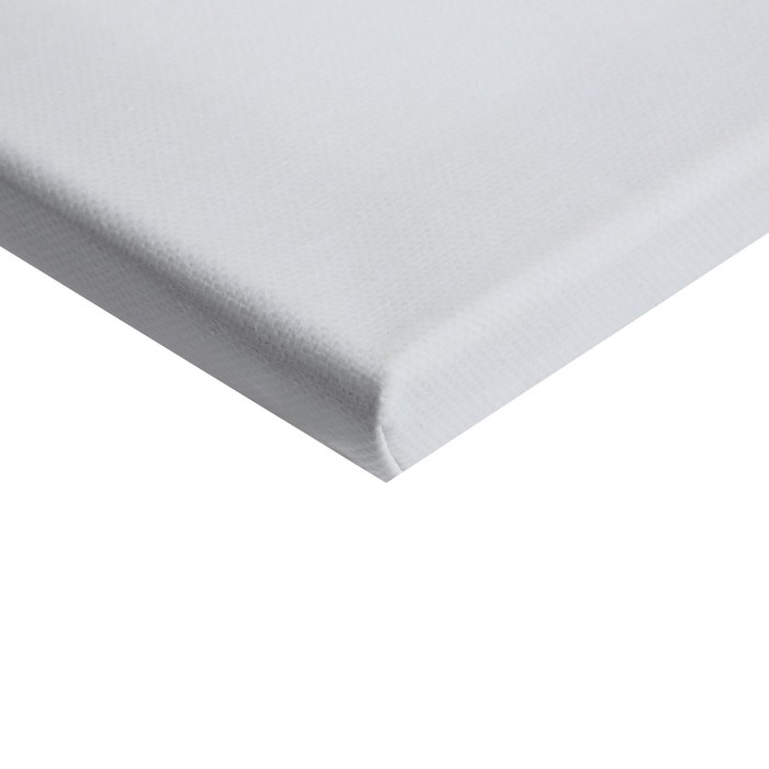 Холст на подрамнике 1,6х50х70 см, Calligrata, хлопок 100%, акриловый грунт, среднезернистый, 380г/м² Холст на подрамнике 1,6х50х70 см, Calligrata, хлопок 100%, акриловый грунт, среднезернистый, 380г/м²