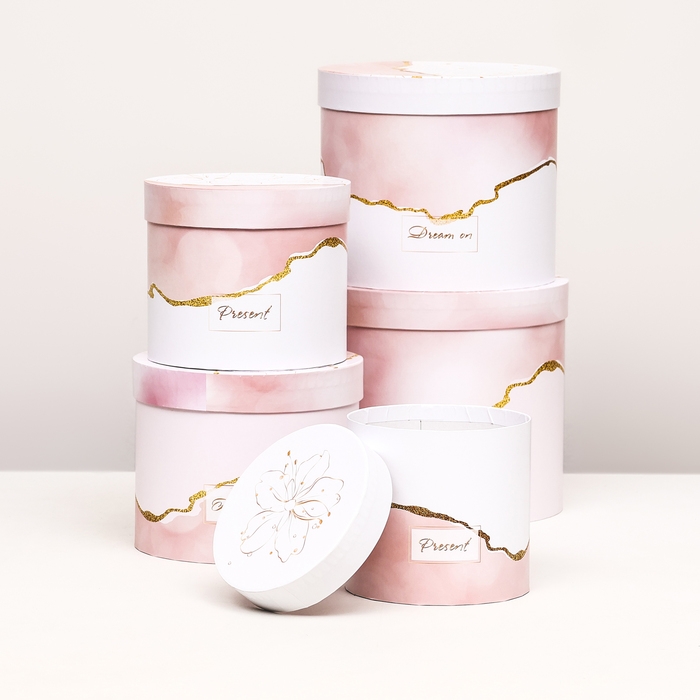 Набор шляпных коробок 5 в 1 "Нежность" розовый, 22 х 19,5 , 14 х 13 см