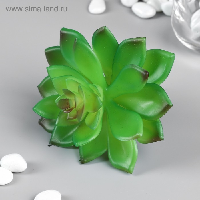 Искусственный суккулент для создания флорариума Искусственный суккулент для создания флорариума "Молодило Silver Song" 10,5х10х10 см