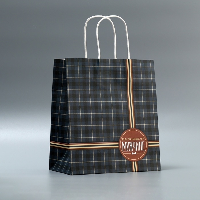 Пакет подарочный крафтовый, упаковка, «Клетка», 22 х 25 х 12 см Пакет подарочный крафтовый, упаковка, «Клетка», 22 х 25 х 12 см