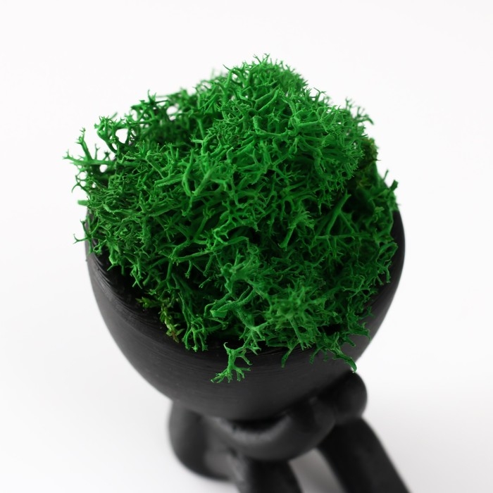 Кашпо бетонное мини Кашпо бетонное мини "Мистер Грин" Кикадзару со мхом черный 5,5х6х6,5 см (мох зел. стабилиз)