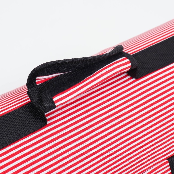 Сумка - переноска для животных Сумка - переноска для животных "Полоски" с органайзером, розовая, размер M, 40 х 26 х 20 см