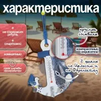 Термометр домашний настенный с крючком &laquo;Якорь с чайкой&raquo;, 12&times;9.5&times;2.5 см