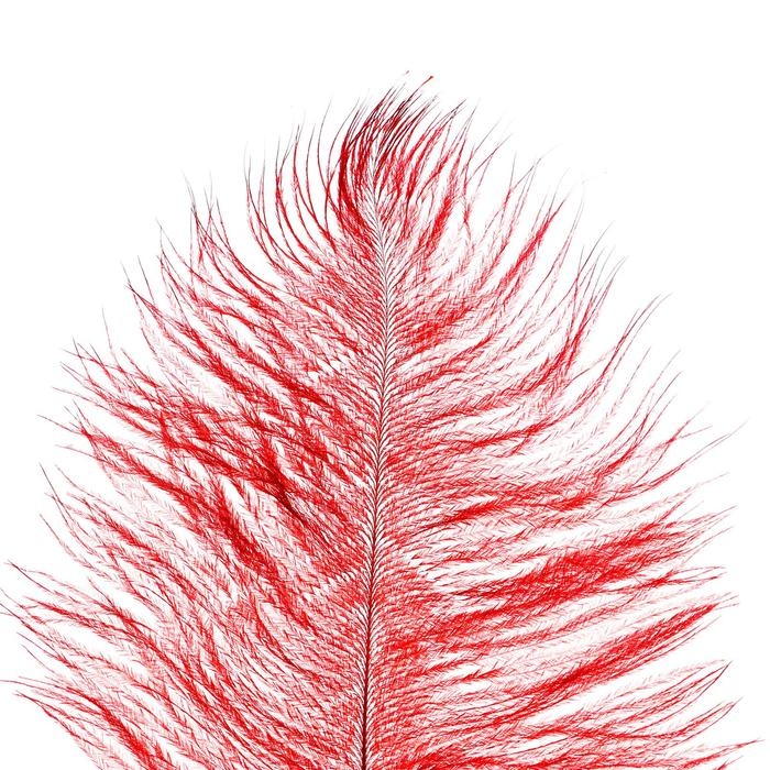 Перо для декора, длина: от 45 до 50 см, цвет бордовый