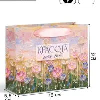 Пакет подарочный &laquo;Красота &mdash; это ты&raquo;, 15&times;12&times;5.5 см