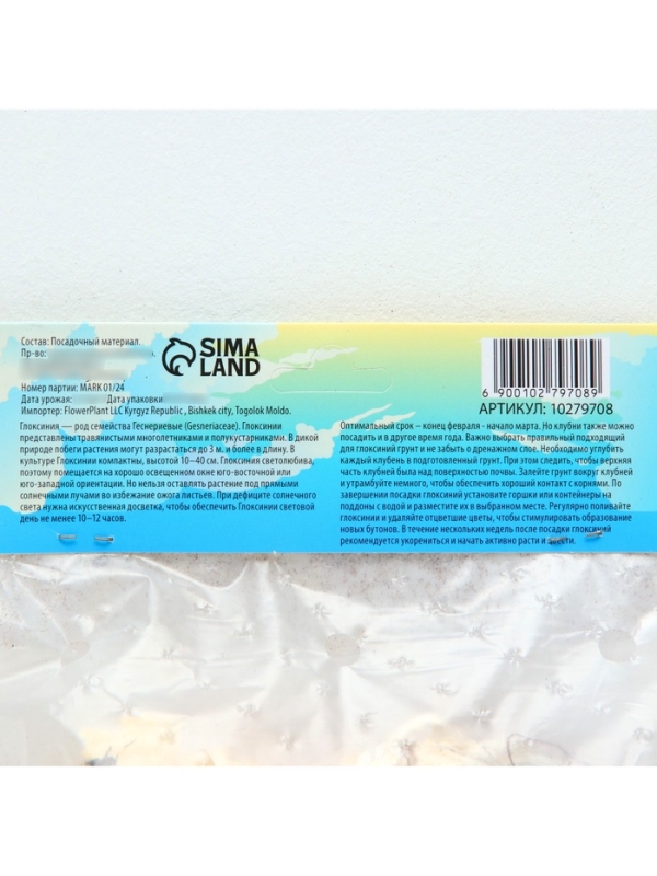 Глоксиния «Принц Альберт», многолетник, комнатный, луковица в пакете с перфорацией, р-р 5/6, 2 шт.