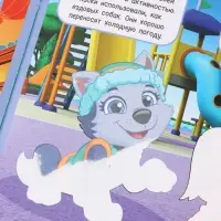 Набор многоразовых водных раскрасок, 18&times;18 см, 4 шт., Щенячий патруль