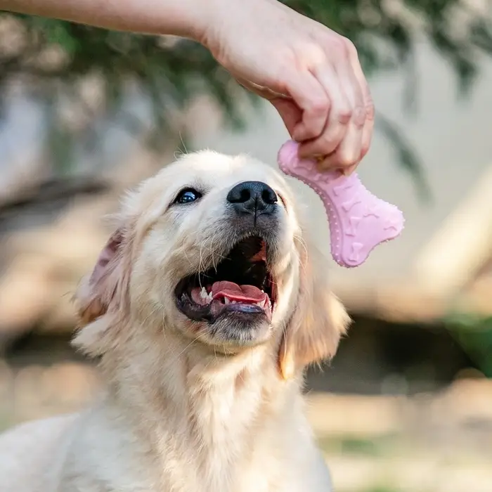 Плавающая игрушка для собак Пижон Premium &laquo;Косточки&raquo;, 10.5&times;5.5&times;2 см, вспененный TPR, розовая