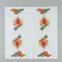 Салфетки новогодние бумажные &laquo;Мандариновое настроение&raquo;, 33&times;33, 2 слоя, 20 шт.