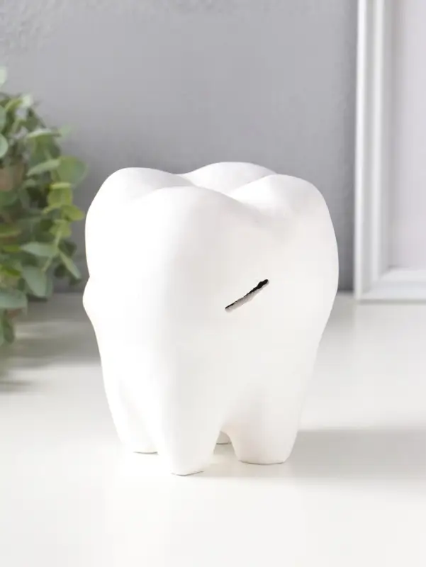 Копилка для денег &laquo;Зуб&raquo;, гипс, белый, 13&times;14&times;19 см