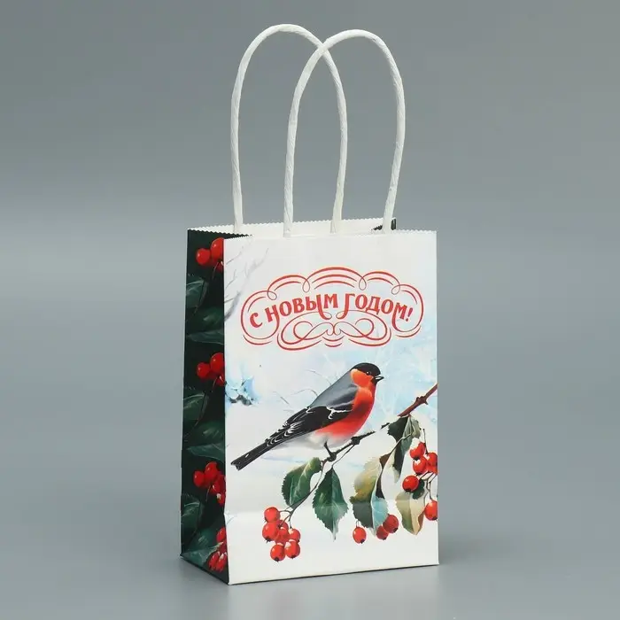 Пакет подарочный новогодний крафтовый «Зимушка», 15 х 10 х 6 см