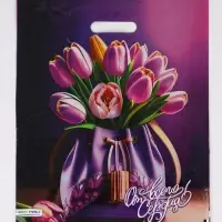 Пакет "Сумочка, полиэтиленовый с вырубной ручкой 38х45 см, 60 мкм Пакет "Сумочка, полиэтиленовый с вырубной ручкой 38х45 см, 60 мкм