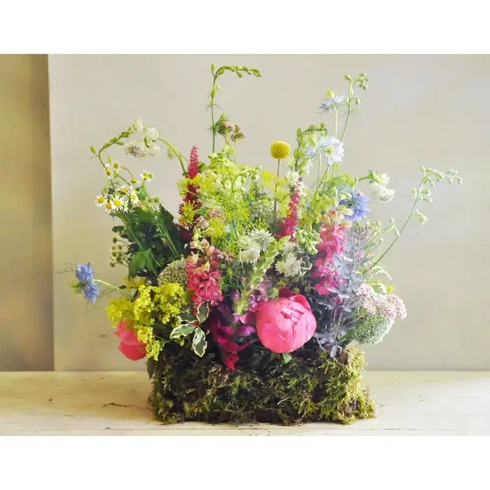 Губка флористическая для живых цветов, букетов &laquo;Оазис Классик&raquo; кирпич, 23&times;11&times;8 см