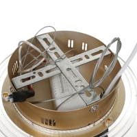 Люстра "Стрекоза" LED 48Вт 3000-6000К золото 52х52х80 см BayerLux