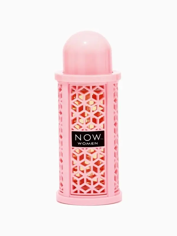 Парфюмерная вода женская Rave NOW WOMEN, 100 мл (по мотивам Burberry Her)