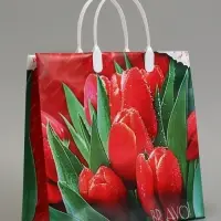 Пакет &laquo;Браво&raquo;, мягкий пластик, 30&times;30 см, 150 мкм