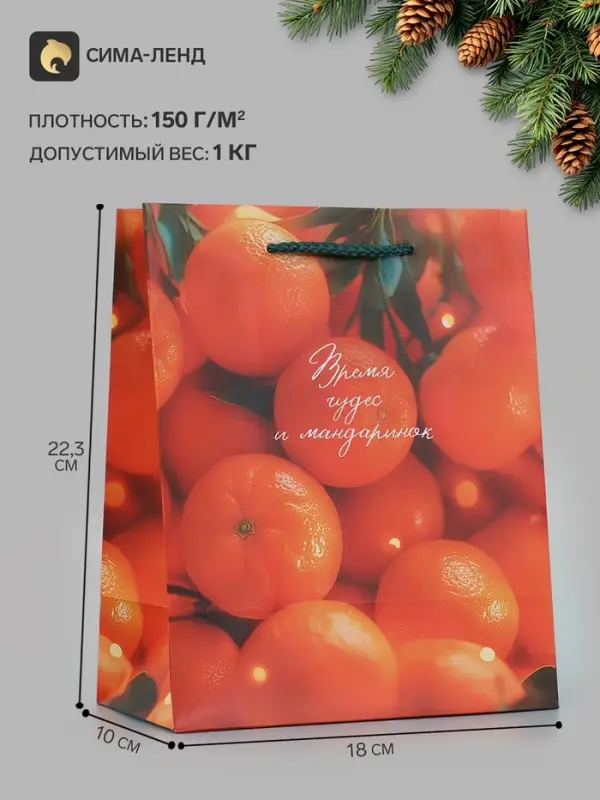 Пакет подарочный &laquo;Время чудес и мандаринок&raquo;, 18&times;10&times;22.3 см