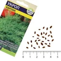 Семена Укроп "Карлик", ц/п,  ц/п,2 г
