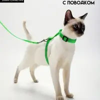Комплект для кошек, ширина 1.5 см, ОШ 16.5-27 см, ОГ 21-35 см, поводок 120 см, зелёный