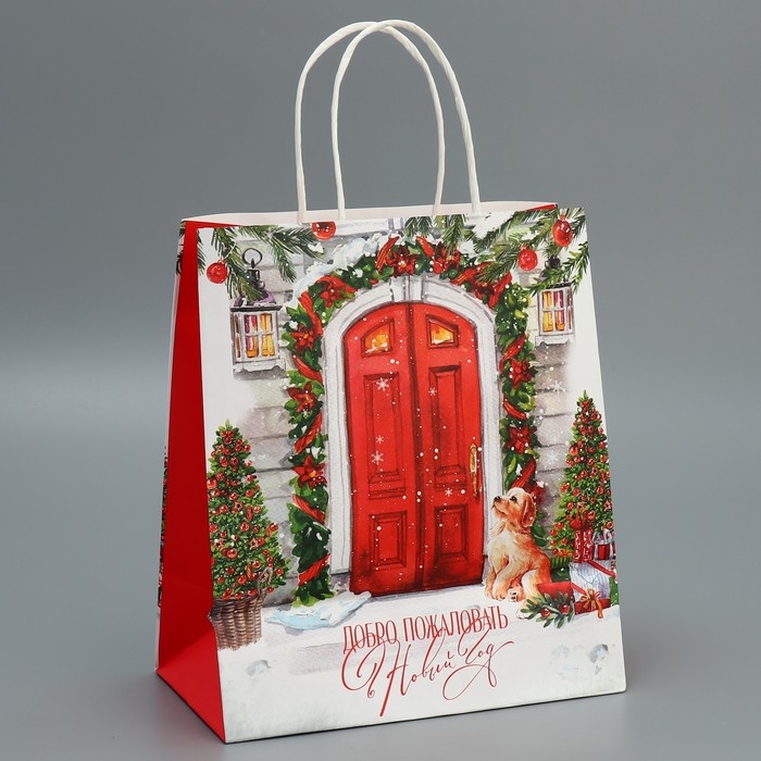 Пакет подарочный новогодний крафтовый «Добро пожаловать», 22 х 25 х 12 см, Новый год