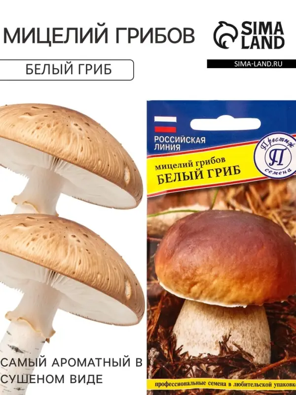 Мицелий грибов Белый гриб, 60 мл, &laquo;Престиж семена&raquo;