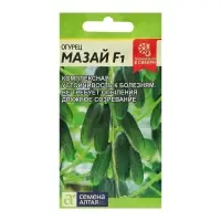 Семена Огурец &laquo;Мазай&raquo;, раннеспелый, партенокарпический, 5 шт., &laquo;Семена Алтая&raquo;