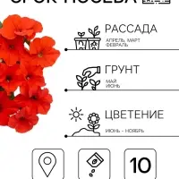Семена цветов Петуния суперкаскадная &laquo;Красная шапочка&raquo; F1, 10 шт.