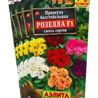 Набор семян Примула &laquo;Розелла&raquo;, смесь окрасок, F1, 4 шт., &laquo;Мой выбор&raquo;