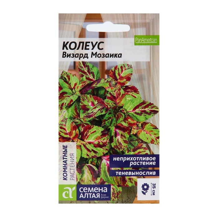 Семена цветов Колеус  Семена цветов Колеус "Визард", мозаика, Сем. Алт, ц/п, 5 шт
