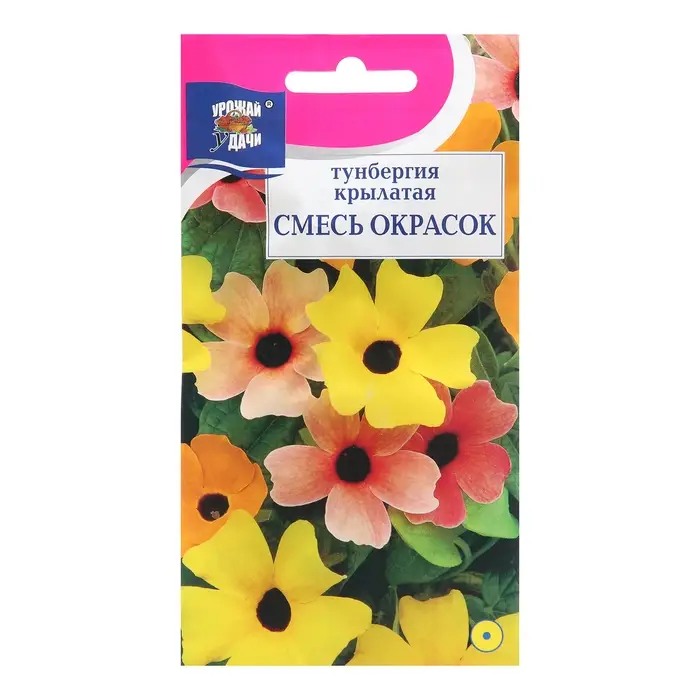 Семена цветов Тунбергия, Смесь окрасок, 0,2 г Семена цветов Тунбергия, Смесь окрасок, 0,2 г