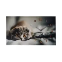 Часы-картина настенные интерьерные &laquo;Кот&raquo;, бесшумные, 35&times;60 см