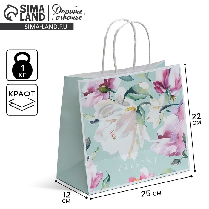 Пакет подарочный крафтовый, упаковка, «Present», 25 х 22 х 12 см Пакет подарочный крафтовый, упаковка, «Present», 25 х 22 х 12 см
