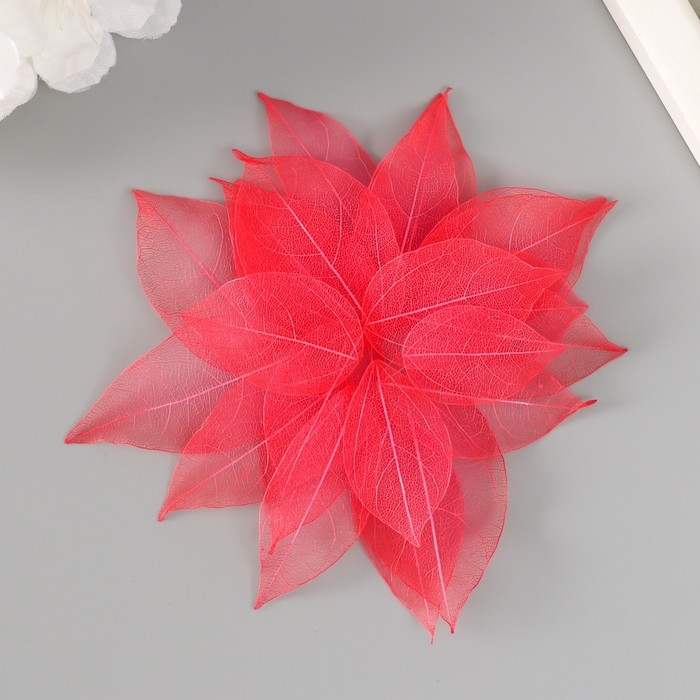 Листья скелетированные для творчества "Красные" набор 20 шт h=6-6,5 см