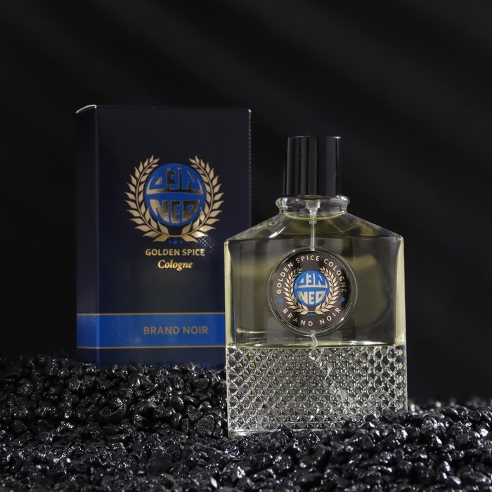 Туалетная вода мужская Brand Noir, 100 мл Туалетная вода мужская Brand Noir, 100 мл