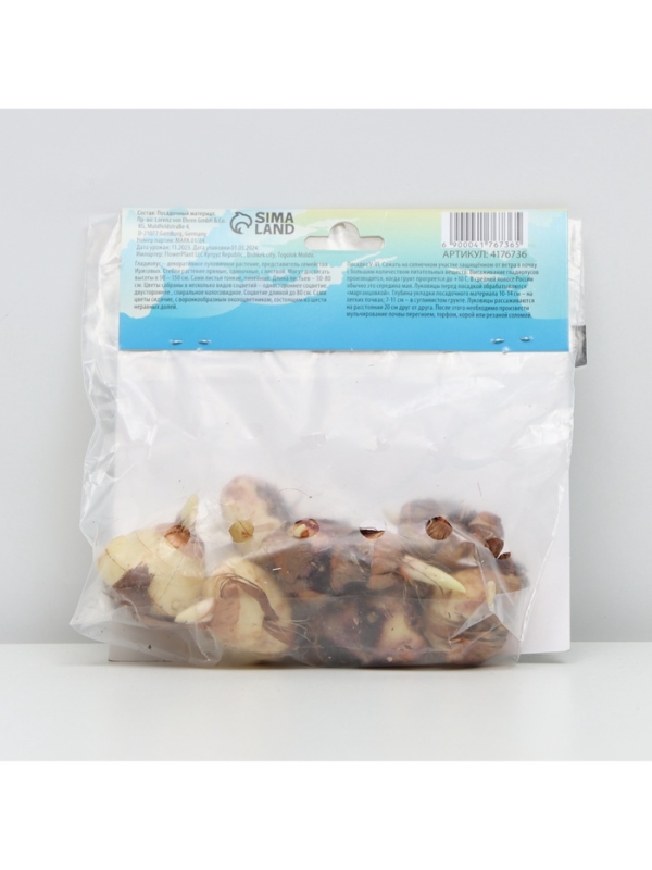 Гладиолус Низкорослый «Принц Клаус», луковица цветов в пакете с перфорацией, р-р 10+, 7 шт.