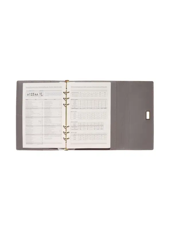 Органайзер на кольцах, А5, с клапаном, 80л, линия, к/зам, с ручкой, Коричневый Органайзер на кольцах, А5, с клапаном, 80л, линия, к/зам, с ручкой, Коричневый