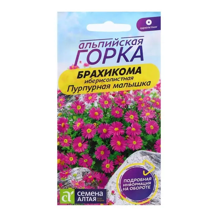 Семена Брахикома  Семена Брахикома "Пурпурная малышка", ц/п,  0,05 гр.