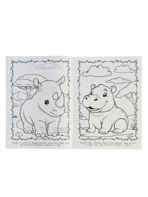 Раскраска "Животные жарких стран" 16 стр.