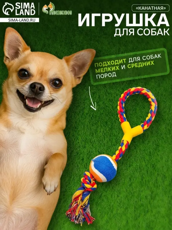 Игрушка канатная с ручкой и мячом, до 150 г, до 35 см, цвет МИКС