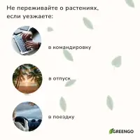 Автополив для комнатных растений под бутылку, регулируемый, с краном, пластик, высота 15 см, МИКС, Greengo