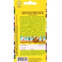 Набор Семена цветов многолетних (218584649) ВБ