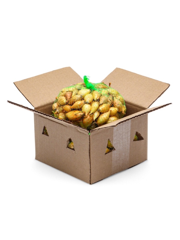 Лук севок Стурон , р-р 18-21, 0,5 кг, Весна 2025 Лук севок Стурон , р-р 18-21, 0,5 кг, Весна 2025