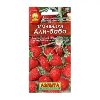 Набор семян Земляника "Али Баба" ремонтантная, 5 шт. Набор семян Земляника "Али Баба" ремонтантная, 5 шт.