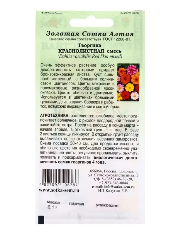 Семена Георгина Краснолистная см /Сотка/ 0,1 г (40-50см, махр и полумахр)/*1500 Семена Георгина Краснолистная см /Сотка/ 0,1 г (40-50см, махр и полумахр)/*1500