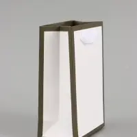 Пакет подарочный, упаковка, &laquo;Белый&raquo;, 15&times;12&times;5.5 см