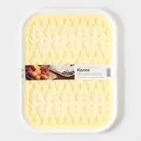 Поднос с вкладышем для сушки посуды Альт-Пласт &laquo;Колос&raquo;, пластик, 45.5&times;36 см, МИКС