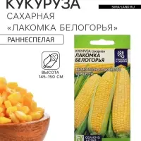 Семена Кукуруза сахарная &laquo;Лакомка Белогорья&raquo;, 5 г, &laquo;Семена Алтая&raquo;