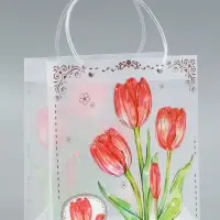 Пакет подарочный прозрачный &laquo;Тюльпаны&raquo;, 22&times;10&times;24 см