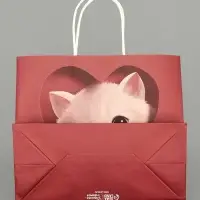 Пакет подарочный крафтовый &laquo;Котик&raquo;, 25&times;22&times;12 см